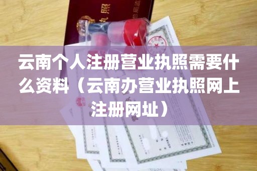 云南个人注册营业执照需要什么资料（云南办营业执照网上注册网址）