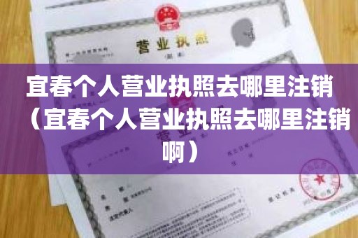 宜春个人营业执照去哪里注销（宜春个人营业执照去哪里注销啊）