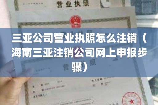 三亚公司营业执照怎么注销（海南三亚注销公司网上申报步骤）