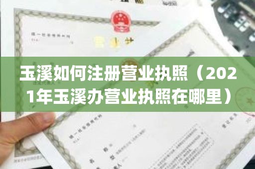 玉溪如何注册营业执照（2021年玉溪办营业执照在哪里）