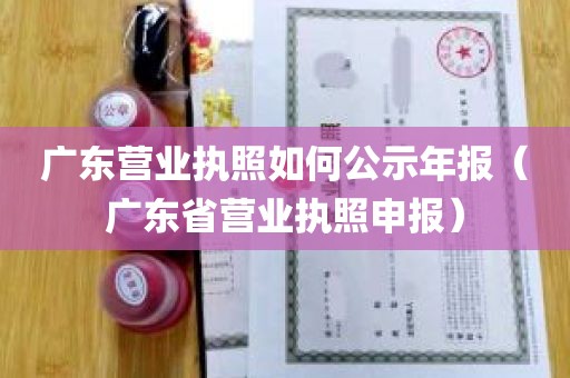 广东营业执照如何公示年报（广东省营业执照申报）