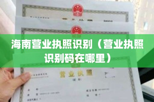 海南营业执照识别（营业执照识别码在哪里）