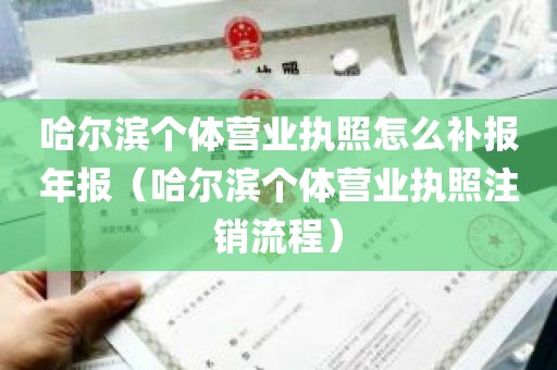 哈尔滨个体营业执照怎么补报年报（哈尔滨个体营业执照注销流程）