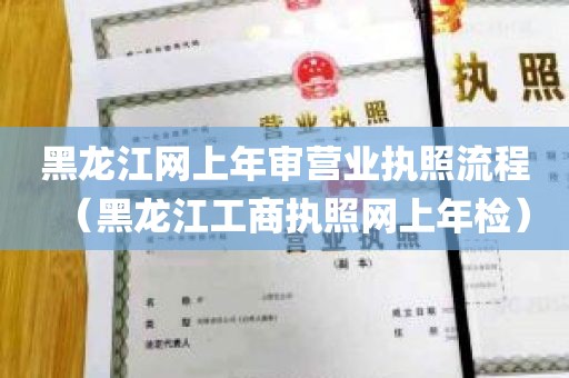 黑龙江网上年审营业执照流程（黑龙江工商执照网上年检）