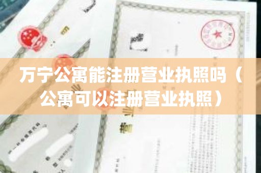 万宁公寓能注册营业执照吗（公寓可以注册营业执照）