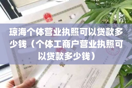 琼海个体营业执照可以贷款多少钱（个体工商户营业执照可以贷款多少钱）