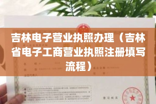 吉林电子营业执照办理（吉林省电子工商营业执照注册填写流程）