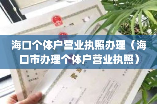 海口个体户营业执照办理（海口市办理个体户营业执照）