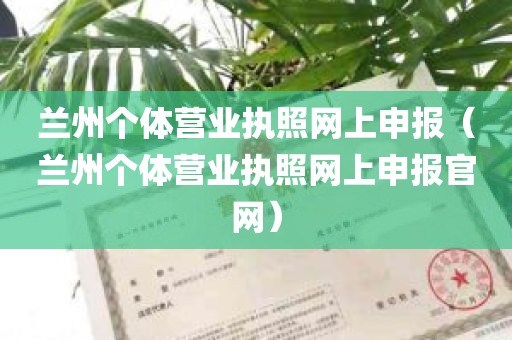 兰州个体营业执照网上申报（兰州个体营业执照网上申报官网）