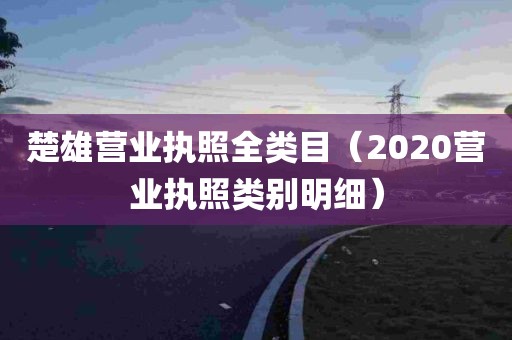 楚雄营业执照全类目（2020营业执照类别明细）