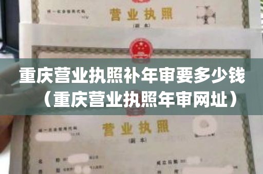 重庆营业执照补年审要多少钱（重庆营业执照年审网址）