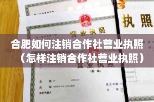 合肥如何注销合作社营业执照（怎样注销合作社营业执照）