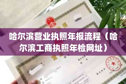 哈尔滨营业执照年报流程（哈尔滨工商执照年检网址）