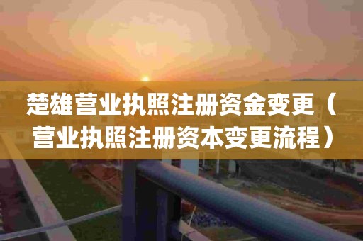 楚雄营业执照注册资金变更（营业执照注册资本变更流程）