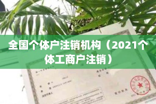 全国个体户注销机构（2021个体工商户注销）