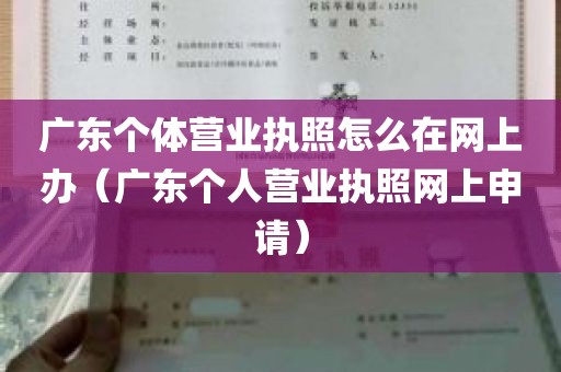 广东个体营业执照怎么在网上办（广东个人营业执照网上申请）