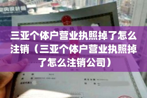 三亚个体户营业执照掉了怎么注销（三亚个体户营业执照掉了怎么注销公司）