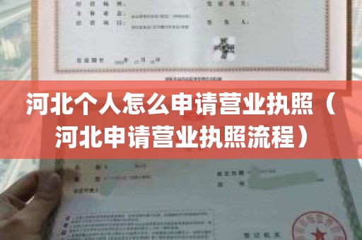 河北个人怎么申请营业执照（河北申请营业执照流程）