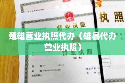 楚雄营业执照代办（雄县代办营业执照）