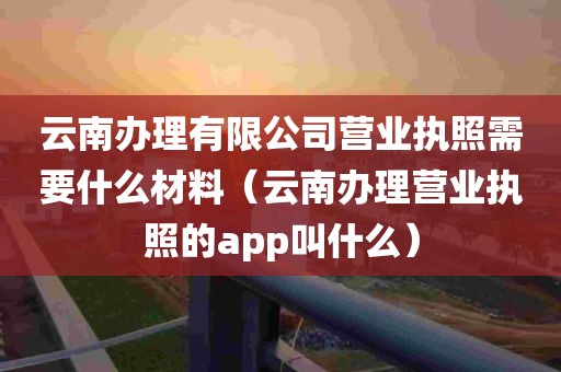 云南办理有限公司营业执照需要什么材料（云南办理营业执照的app叫什么）