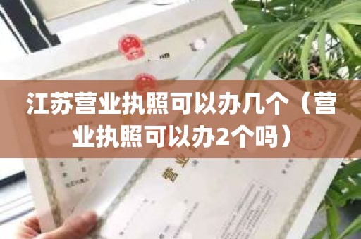 江苏营业执照可以办几个（营业执照可以办2个吗）