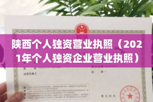 陕西个人独资营业执照（2021年个人独资企业营业执照）