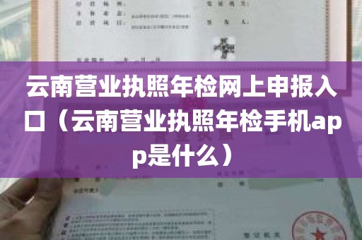 云南营业执照年检网上申报入口（云南营业执照年检手机app是什么）