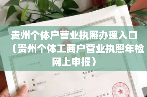 贵州个体户营业执照办理入口（贵州个体工商户营业执照年检网上申报）