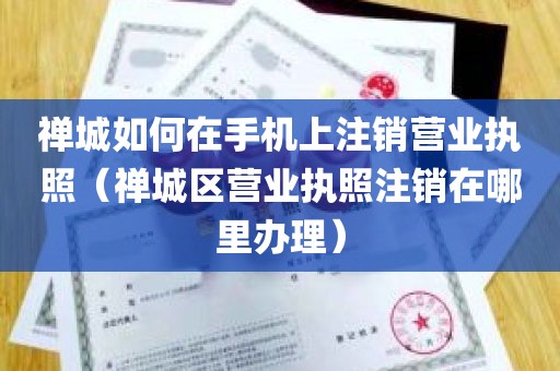 禅城如何在手机上注销营业执照（禅城区营业执照注销在哪里办理）