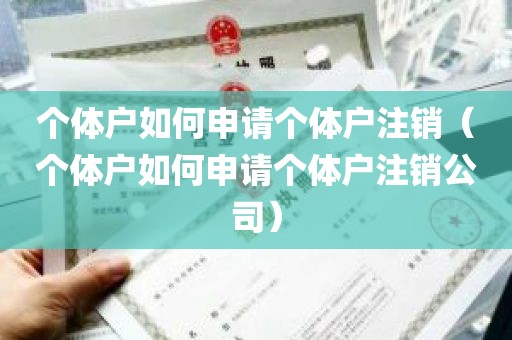 个体户如何申请个体户注销（个体户如何申请个体户注销公司）