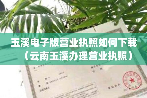 玉溪电子版营业执照如何下载（云南玉溪办理营业执照）