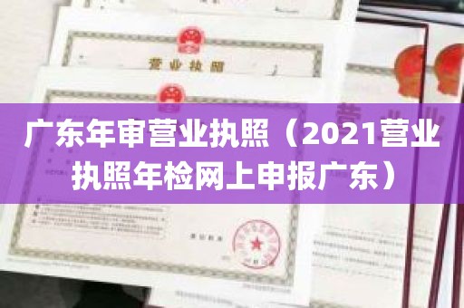 广东年审营业执照（2021营业执照年检网上申报广东）