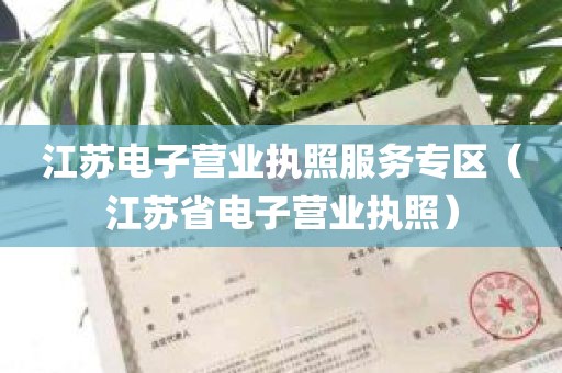 江苏电子营业执照服务专区（江苏省电子营业执照）