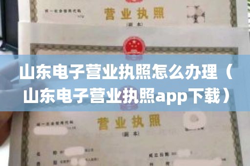 山东电子营业执照怎么办理（山东电子营业执照app下载）