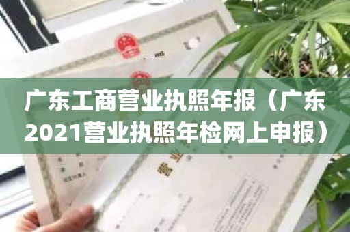 广东工商营业执照年报（广东2021营业执照年检网上申报）